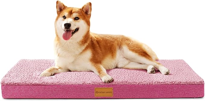 Patas Lague Orthopedic Dog Bed for Small Dogs 20''X15'', Soft Waterproof Egg by PatasLague