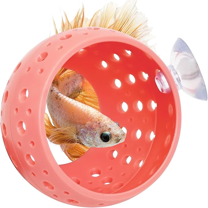 Fhiny Betta Tunnel, Aquarium Betta Fish Hideout by Fhiny