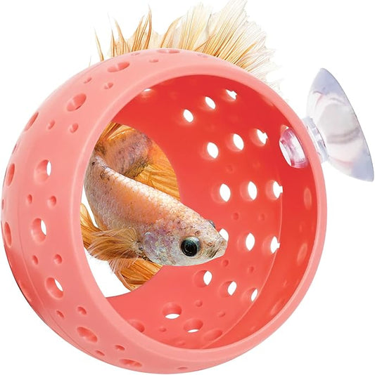Fhiny Betta Tunnel, Aquarium Betta Fish Hideout by Fhiny