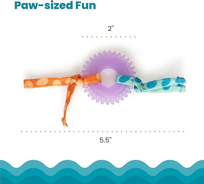 Catstages Kitty Chew Wheel, Dental Cat Toy - Image 5