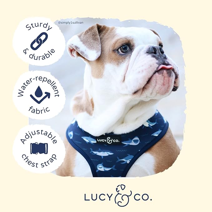 Reversible Dog Harness Walking Halter - Image 4