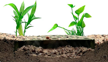 Shrimp Breeding Protector | Shrimp Breeding Cave Aquarium Tunnel | CTWPets - Image 7