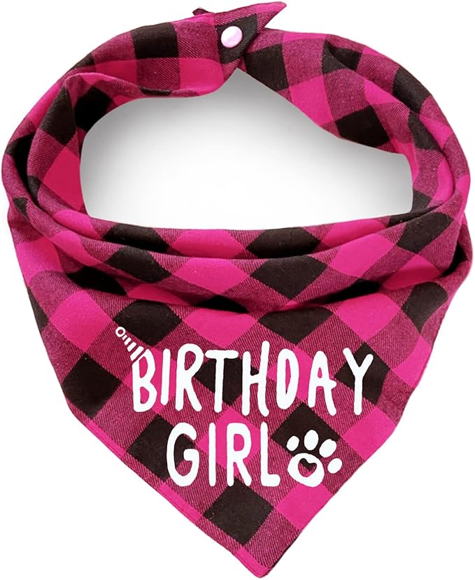 Birthday Plaid Dog Bandana by ZIRVYIR