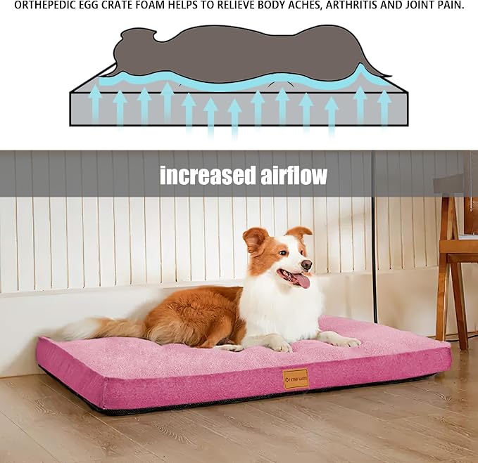Patas Lague Orthopedic Dog Bed Large Sized Dog 36''X24'', Soft Waterproof Egg - Image 3