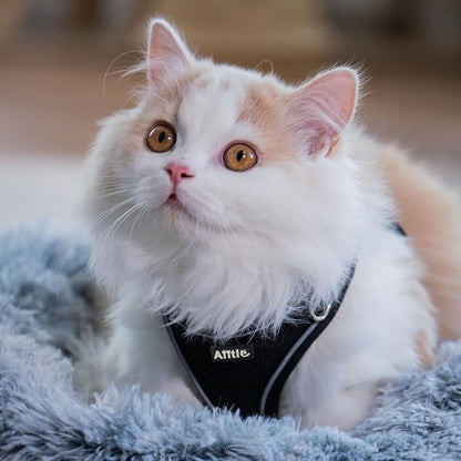 AIITLE Comfortable Dog Harness and Leash Set - Image 10