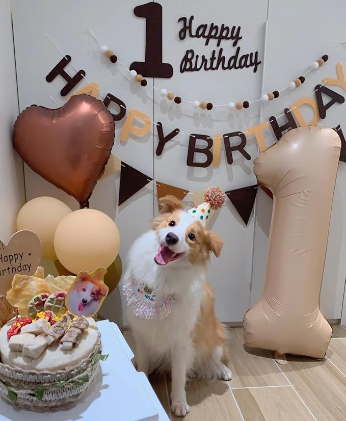 Dog Princess Costumes Puppy Birthday Bandana Scarf and Party Hat Cute Lace Dog - Image 3