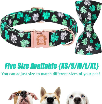 MR. CHUBBYFACE St.Patrick's Clover Dog Collar - Image 3