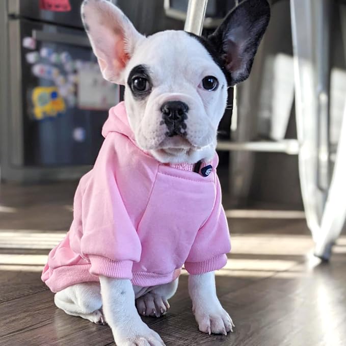 Jecikelon Winter Dog Hoodie Sweatshirts - Image 5