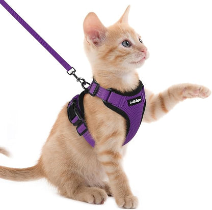 rabbitgoo Cat Harness and Leash by rabbitgoo