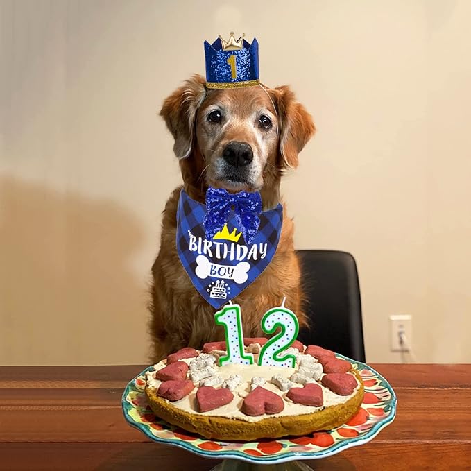 ADOGGYGO Dog Birthday Hat Bandana - Image 2
