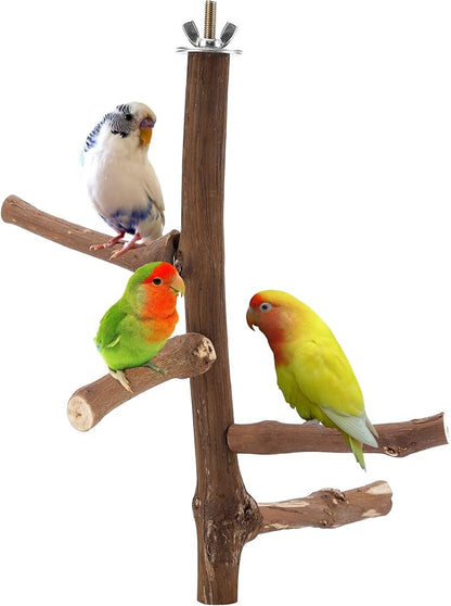 Bird Perch Stand Toy, Natural Grapevine Wood Parrot Perch Bird Cage Branch by Filhome