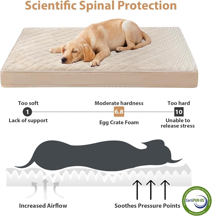 WNPETHOME Orthopedic Big Dog Beds Large Sized Dog, Waterproof Extra Large Dogs - Image 3