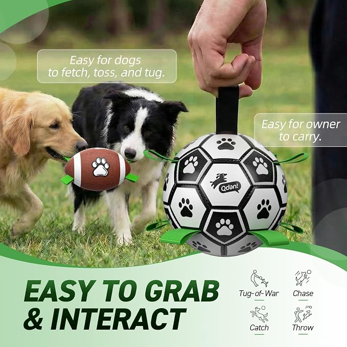 QDAN Dog Soccer Ball Football Set - Image 6