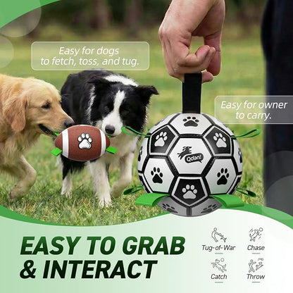 QDAN Dog Soccer Ball Football Set - Image 6