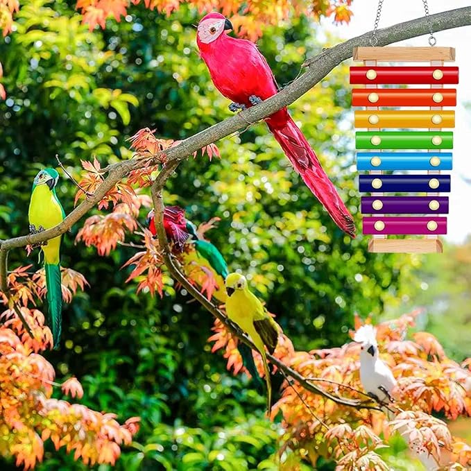 Bird Xylophone with Mirror & Bell Accessories - Image 3