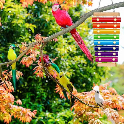 Bird Xylophone with Mirror & Bell Accessories - Image 3