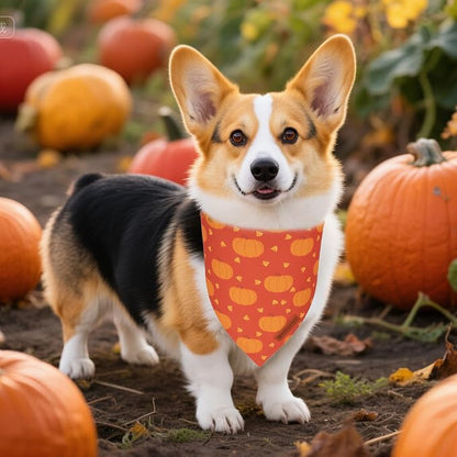 ADOGGYGO Thanksgiving Dog Bandanas 2 Pack, Reversible Pumpkin Turkey Pet Scarf - Image 3