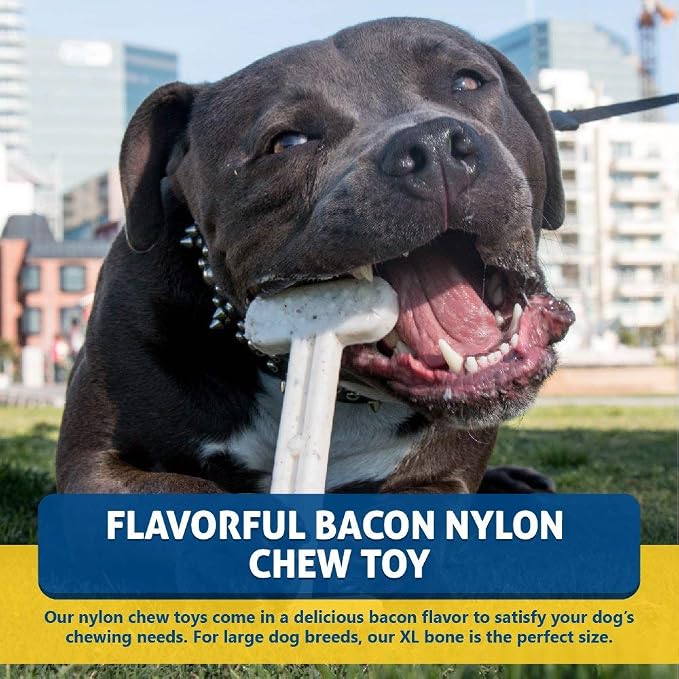 Bullibone Nylon Dog Chew Toy for Aggressive Chewers - Image 3