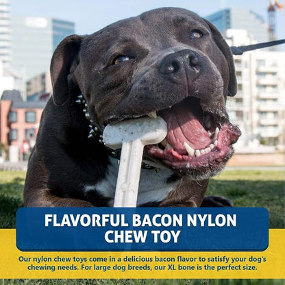 Bullibone Nylon Dog Chew Toy for Aggressive Chewers - Image 3