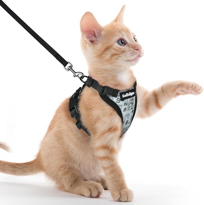 rabbitgoo Cat Harness and Leash by rabbitgoo