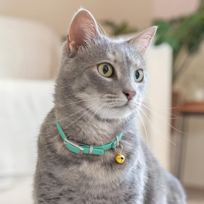 CollarDirect Leather Cat Collar - Image 6