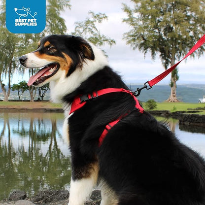 Voyager Step-in Pet Harness - Image 8