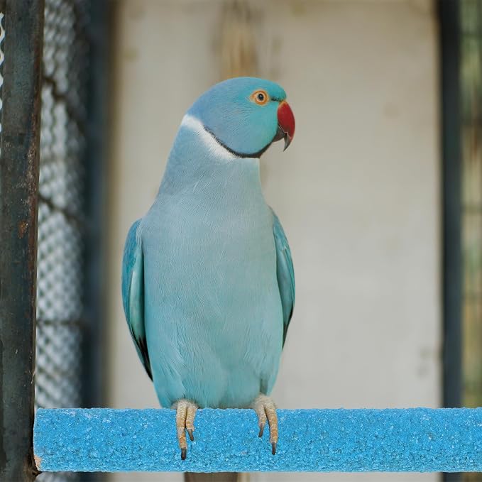 Bird Perches for Cage - Image 4