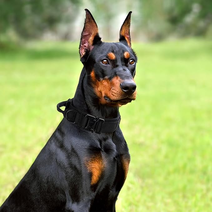 Tactical Dog Collar Set, Adjustable Military Training Nylon Dog Collar - Image 6
