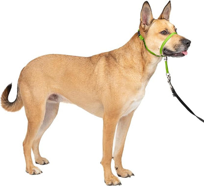 PetSafe Gentle Leader Headcollar No-Pull Dog Collar by PetSafe