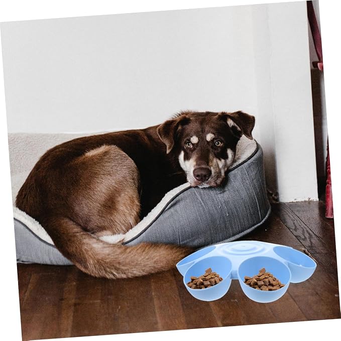 Toyvian Multi-Grid Floral Pet Feeding Bowl - Image 6
