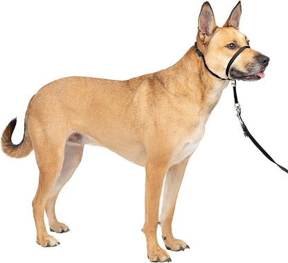 PetSafe Gentle Leader Headcollar No-Pull Dog Collar by PetSafe