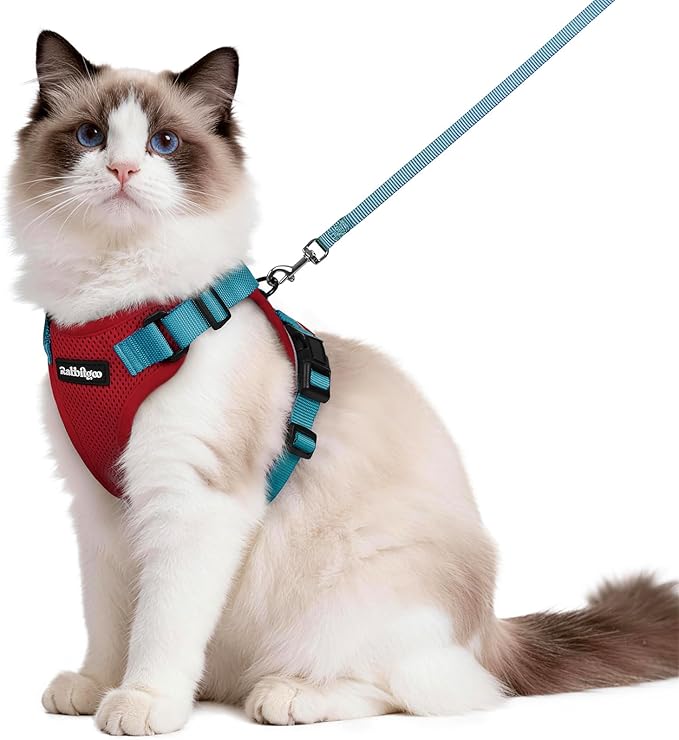rabbitgoo Cat Harness and Leash by rabbitgoo