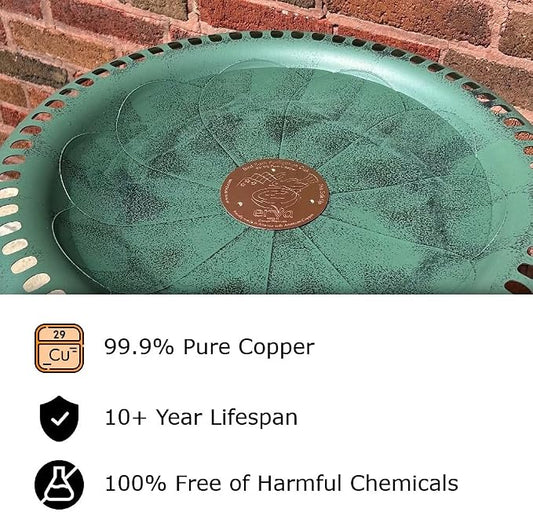 Erva 3-Pack Copper Bird Bath Purification Disk - Image 2