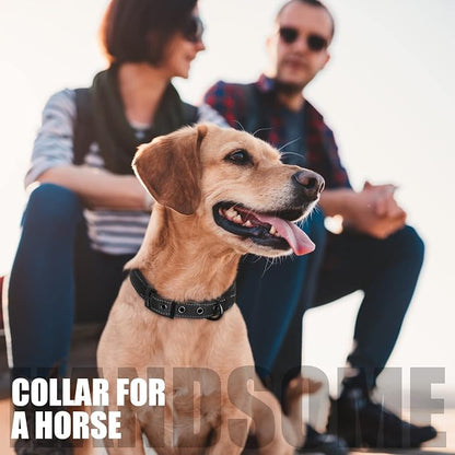 Fida Heavy Duty Dog Collar, Ultra Comfortable Soft Neoprene Padded, Adjustable - Image 7