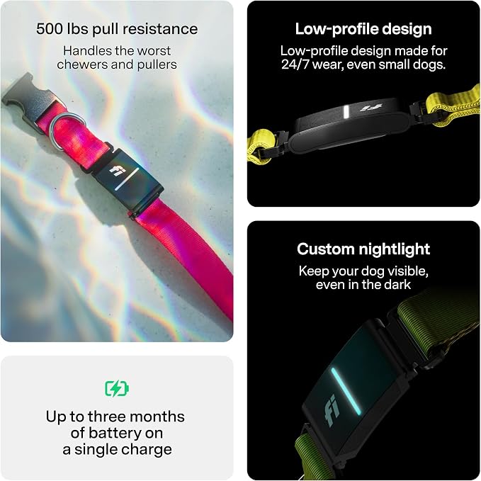 New Fi Series 3+ Smart Dog Tracker Collar GPS Tracker - Image 7