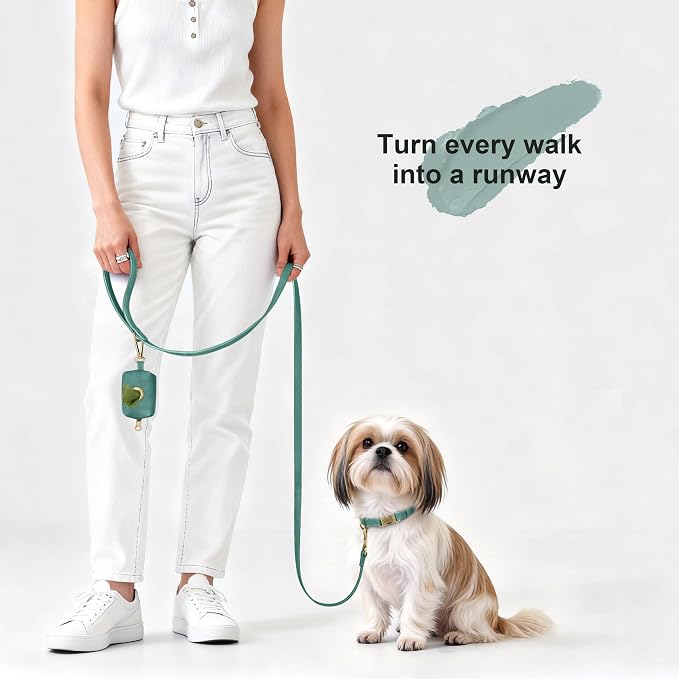 Didog Soft PU Leather Dog Collar, Stylish Quick Released Dog Collars - Image 4