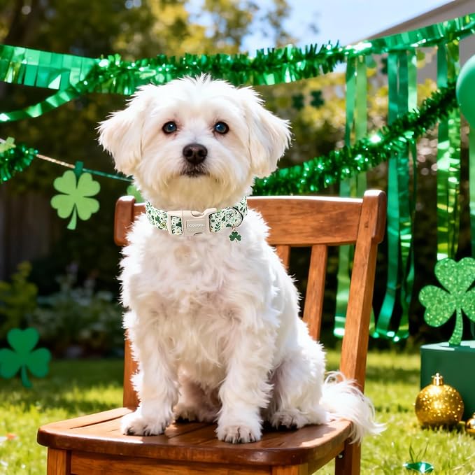 DOGWONG St Patrick's Dog Collar - Image 5