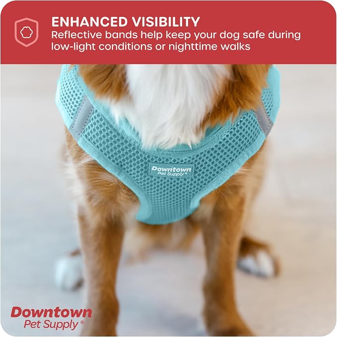 Downtown Pet Supply Step-in Dog Harness – No Pull, Adjustable Padded Mesh - Image 7
