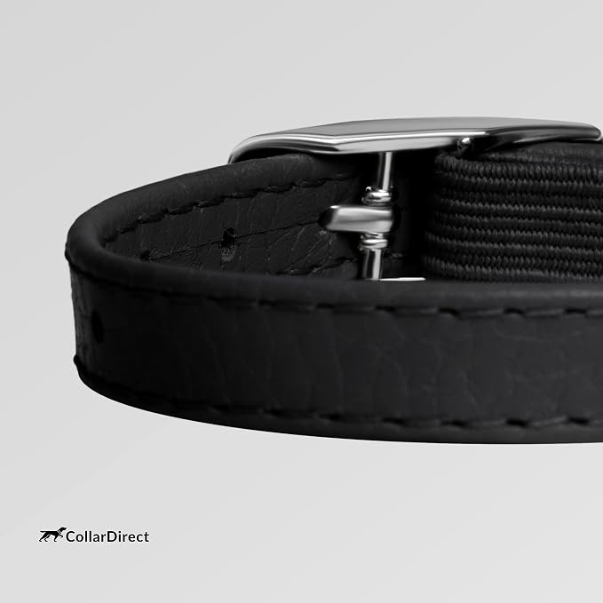 CollarDirect Leather Cat Collar, Kitten Collar - Image 4