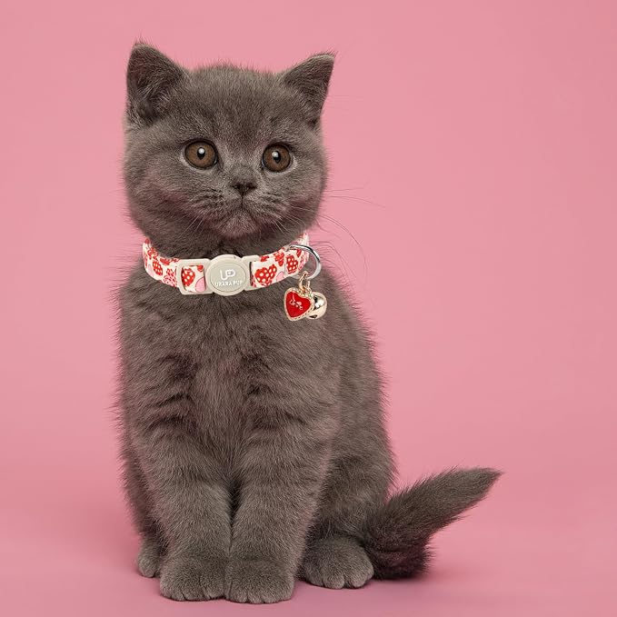 Cat Collar, Sweet Heart Kitten Collars Pink Hearts - Image 4