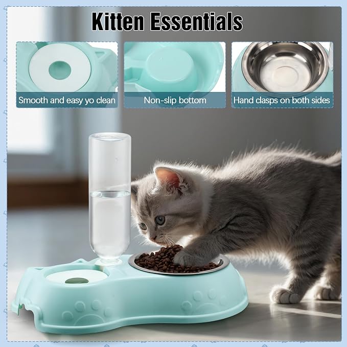 Eccliy Kitten Starter Kit, Pet Toy, Folding Carrier, Climbing Frame, Automatic - Image 5