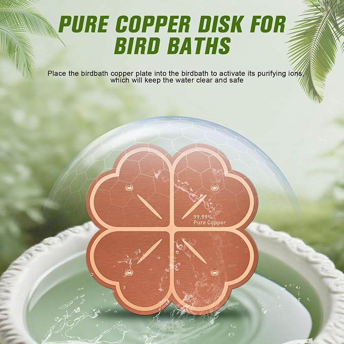 Bird Bath Copper Disk, Four-Point Support Design 99.99% Pure Copper Cleaning - Image 5