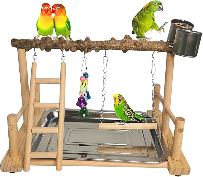 Hamiledyi Parrot Playground Bird Playstand Wood Exercise Play Perch Exercise Gym by Hamiledyi