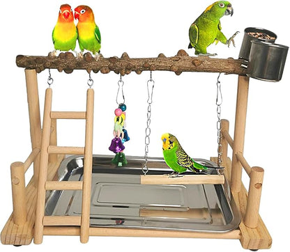 Hamiledyi Parrot Playground Bird Playstand Wood Exercise Play Perch Exercise Gym by Hamiledyi