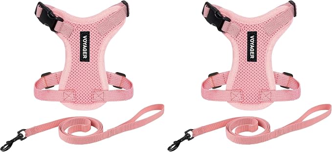 Voyager Step-in Lock Adjustable Cat Harness w. Cat Leash Combo Set by BestPetSuppliesLLC