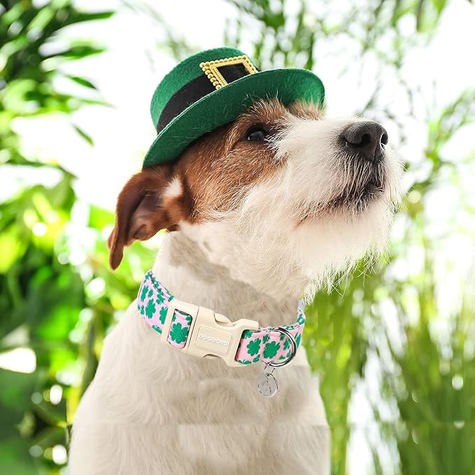 DOGWONG St. Patrick's Day Dog Collar - Image 4