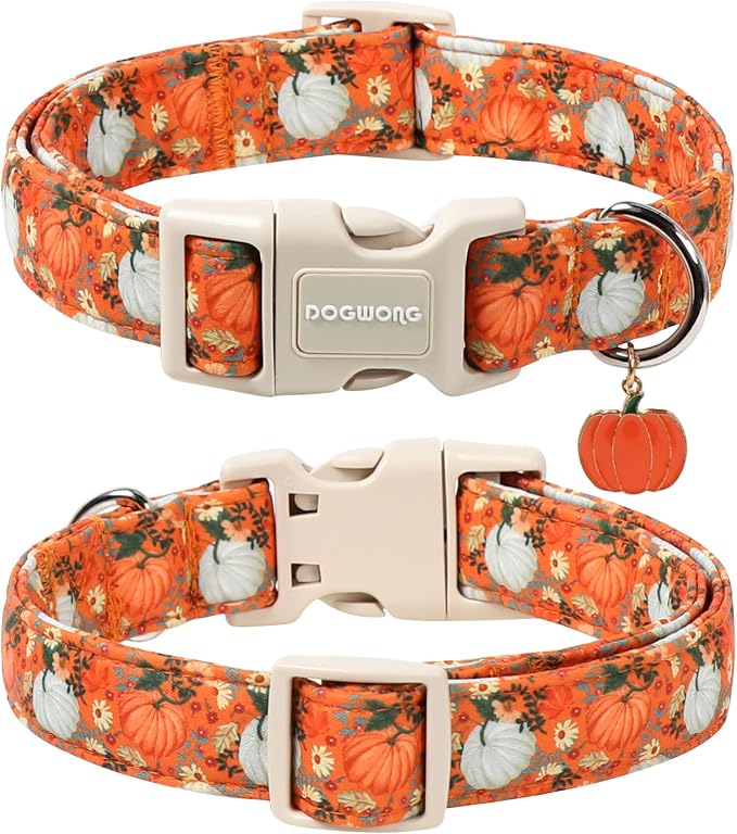 DOGWONG Fall Pumpkin Dog Collar- Cute Daisy Pumpkin Dog Collars Adjustable - Image 2