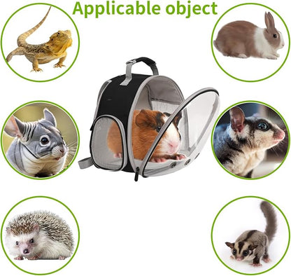 Guinea Pig Carrier, Guinea Pig Carrier - Image 5