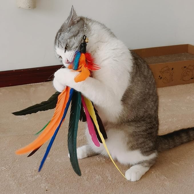 Da Bird Feather Refill - Image 5
