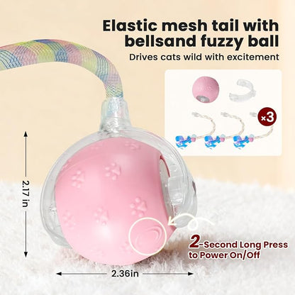 Rocfish Durable Interactive Cat Toys - Image 2